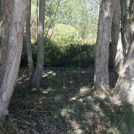 Casa Rural Los Lilos Gotor Zewnętrze zdjęcie