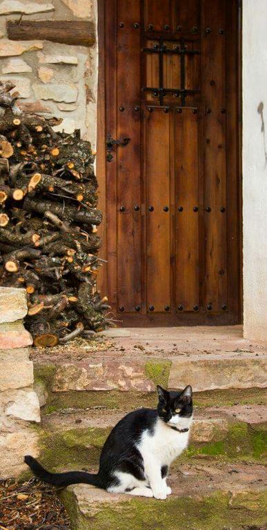 Casa Rural Los Lilos Gotor Zewnętrze zdjęcie