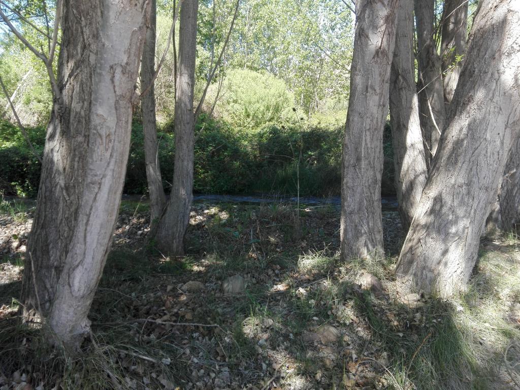 Casa Rural Los Lilos Gotor Zewnętrze zdjęcie